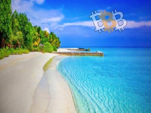 Bitcoin Crypto Paradise